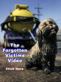 Forgotten Victims Video
