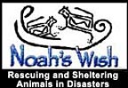 HSUS Katrina Banner